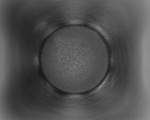 X0000093131209200710031346