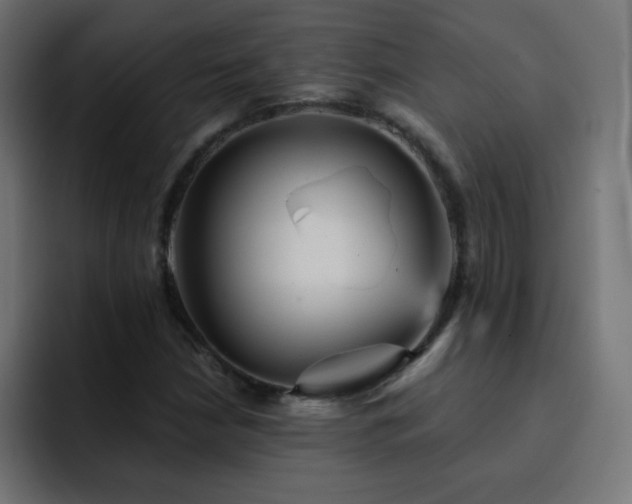 X0000093131210200710031346