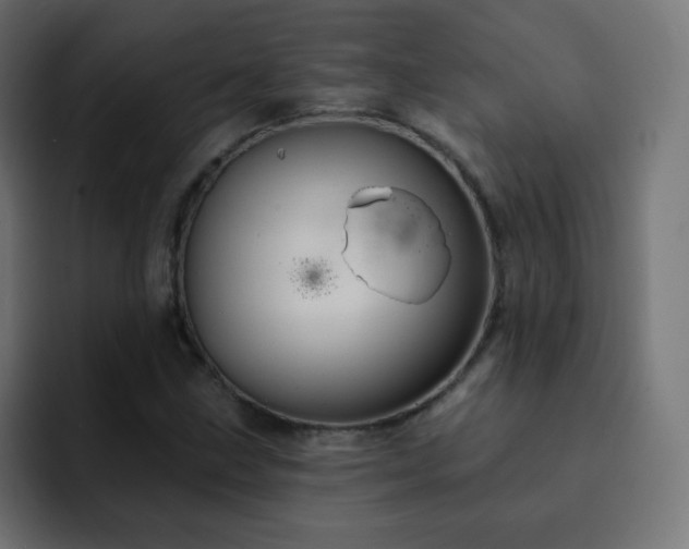 X0000093131211200710031346