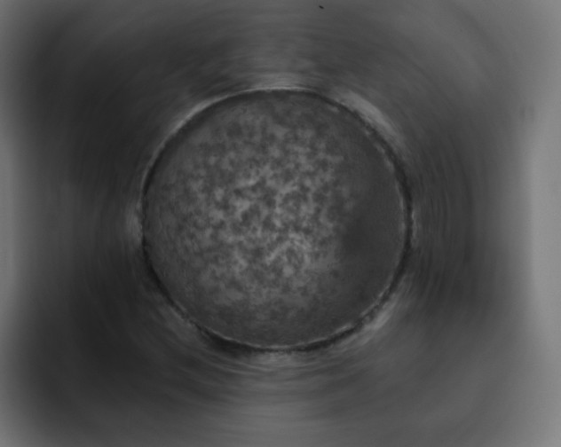 X0000093131212200710031346