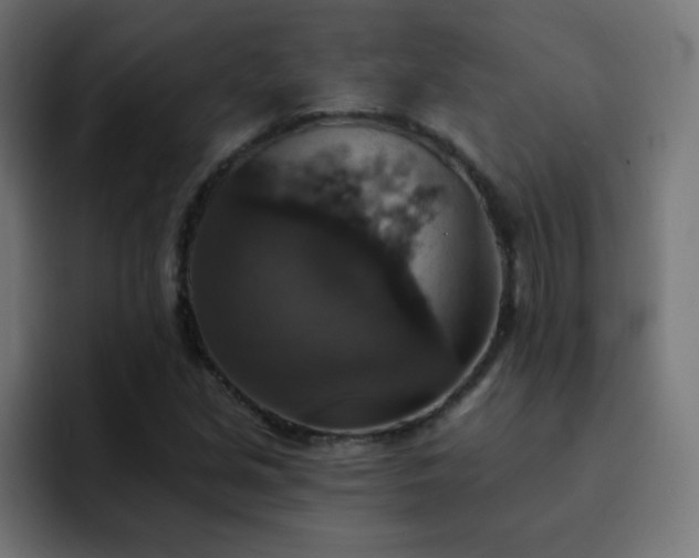 X0000093131213200710031346