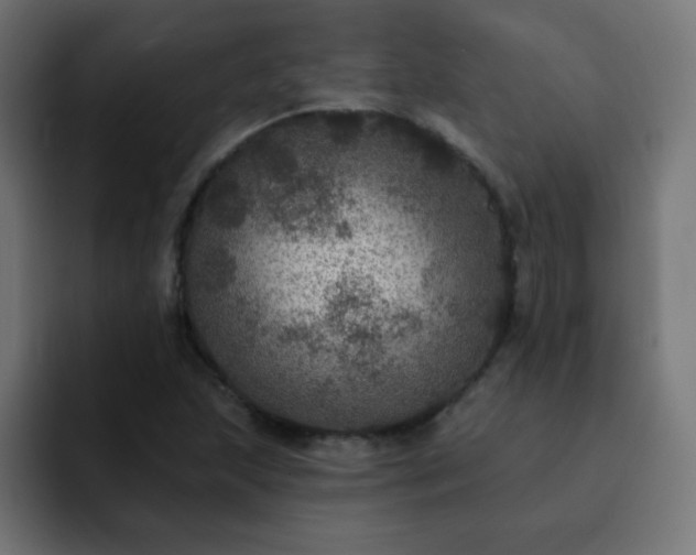 X0000093131215200710031346