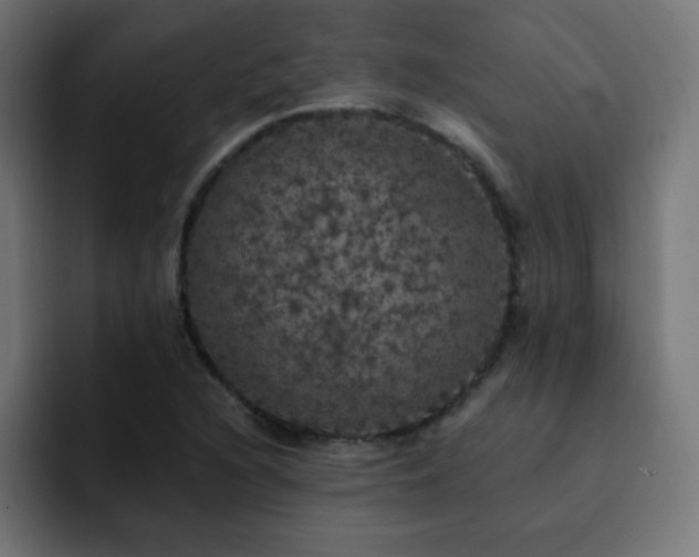X0000093131216200710031346