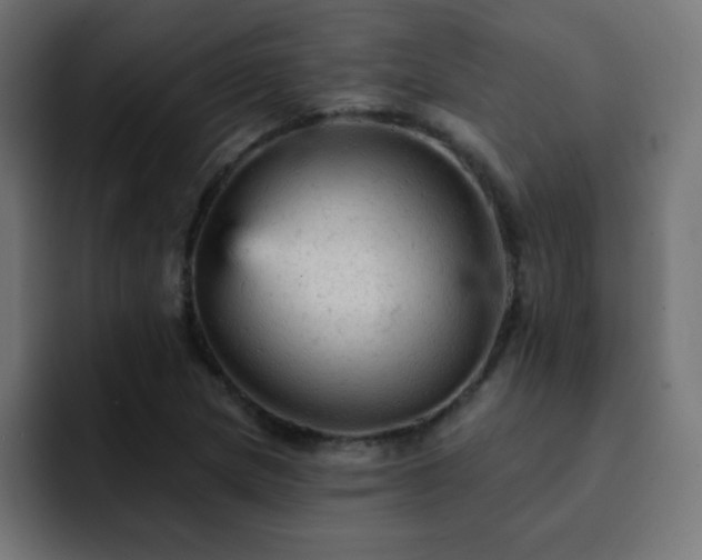 X0000093131217200710031346