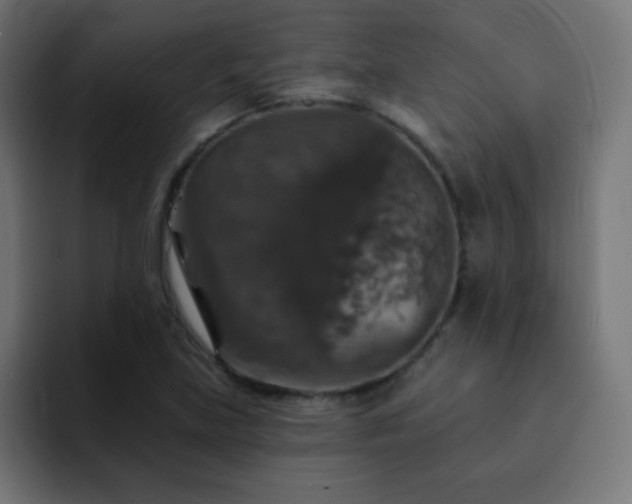 X0000093131219200710031346