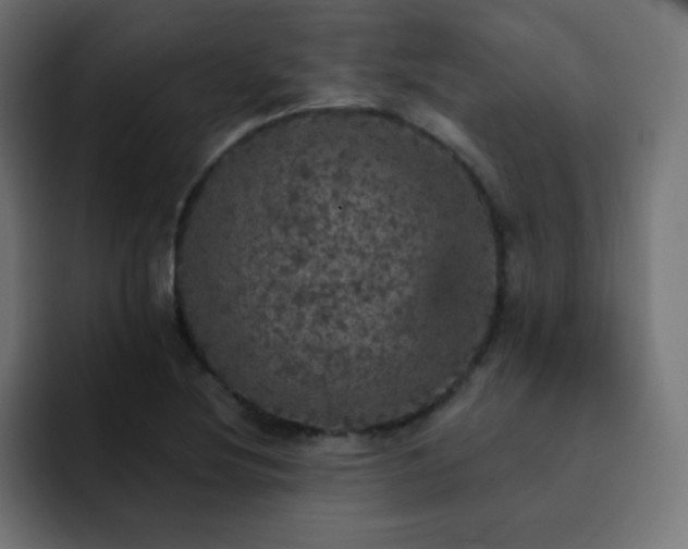 X0000093131220200710031346