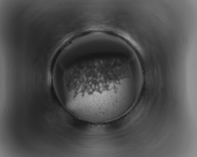 X0000093131221200710031346