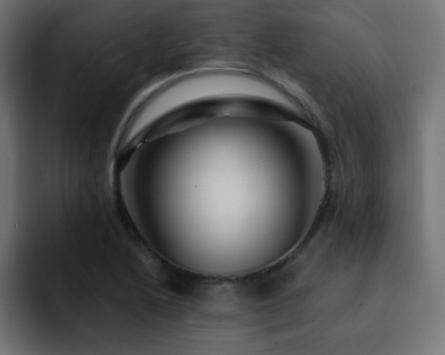 X0000093131222200710031346