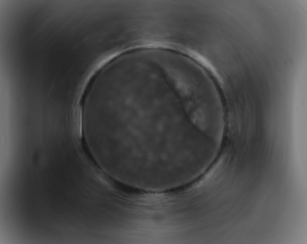 X0000093131223200710031346