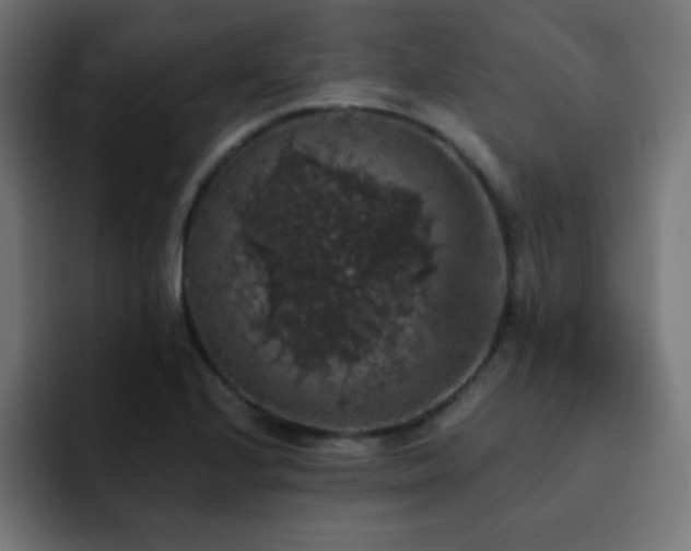 X0000093131224200710031346