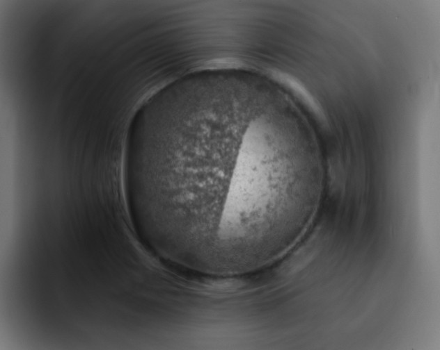 X0000093131225200710031346
