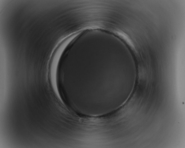 X0000093131226200710031346