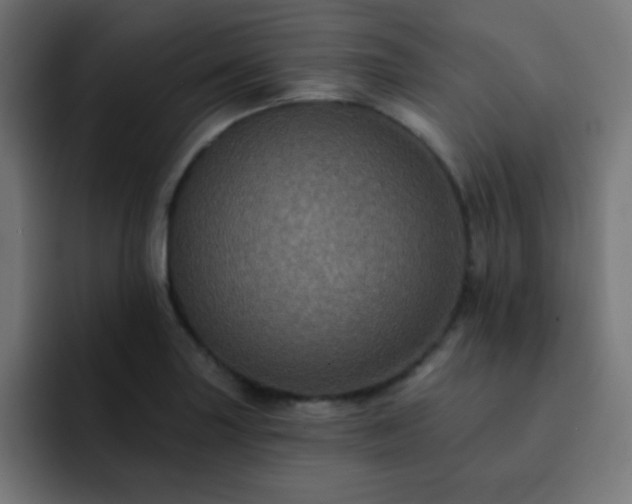 X0000093131227200710031346