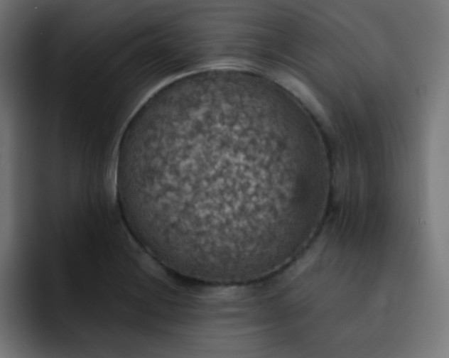X0000093131228200710031346