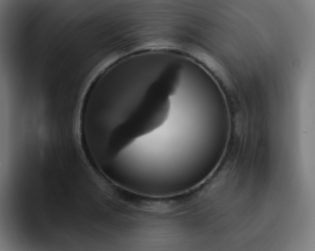 X0000093131229200710031346