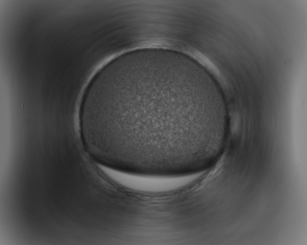 X0000093131230200710031346