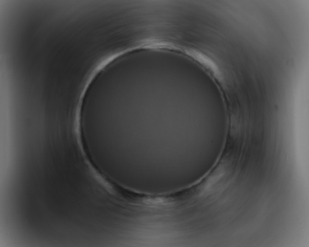 X0000093131231200710031346