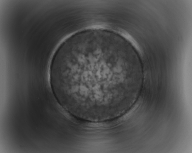 X0000093131232200710031346