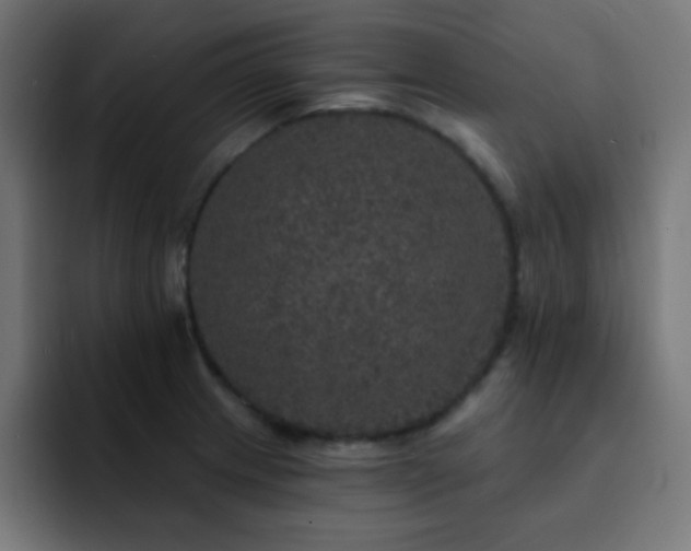 X0000093131233200710031346