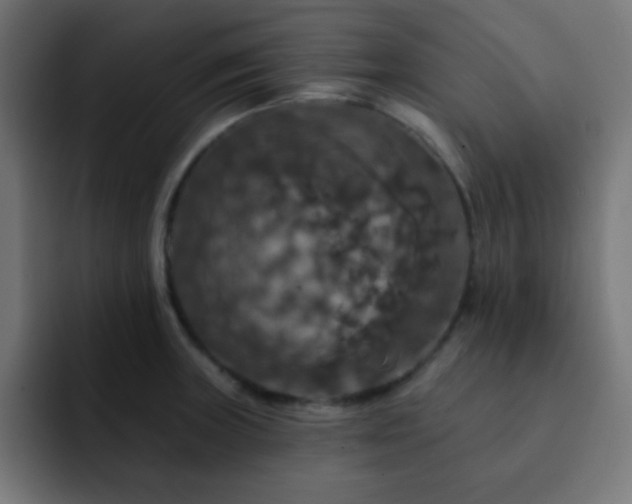 X0000093131235200710031346