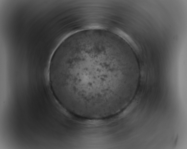 X0000093131236200710031346