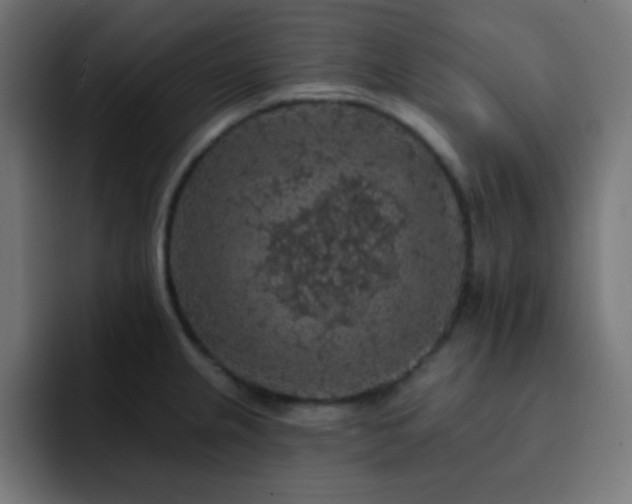 X0000093131237200710031346