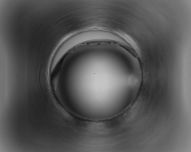 X0000093131238200710031346