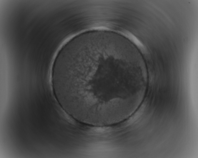 X0000093131240200710031346