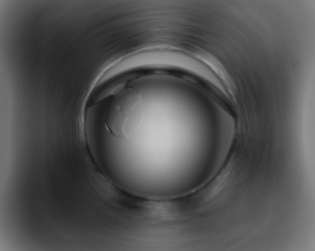 X0000093131242200710031346