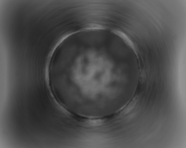 X0000093131243200710031346