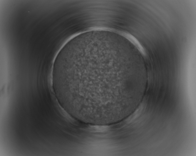 X0000093131244200710031346