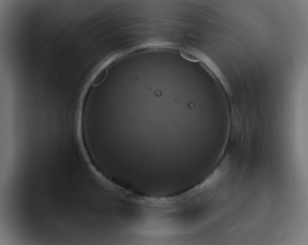 X0000093131245200710031346