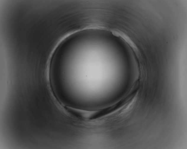 X0000093131246200710031346