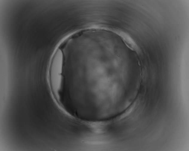 X0000093131247200710031346