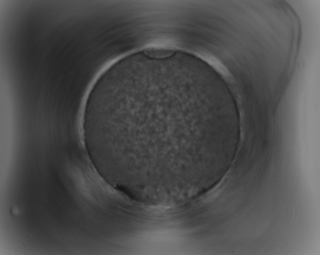 X0000093131248200710031346