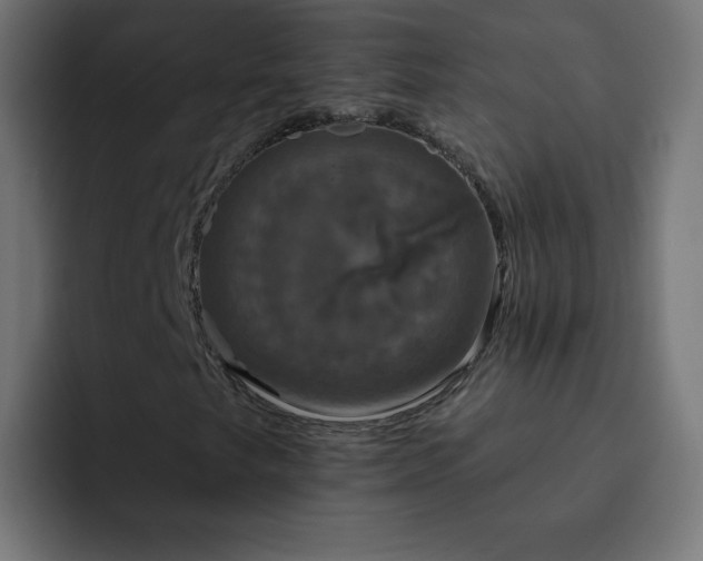 X0000093131249200710031345