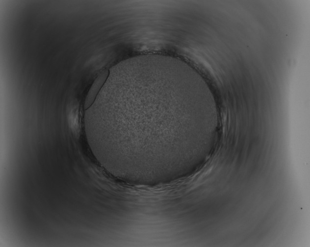 X0000093131250200710031345