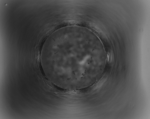 X0000093131251200710031345