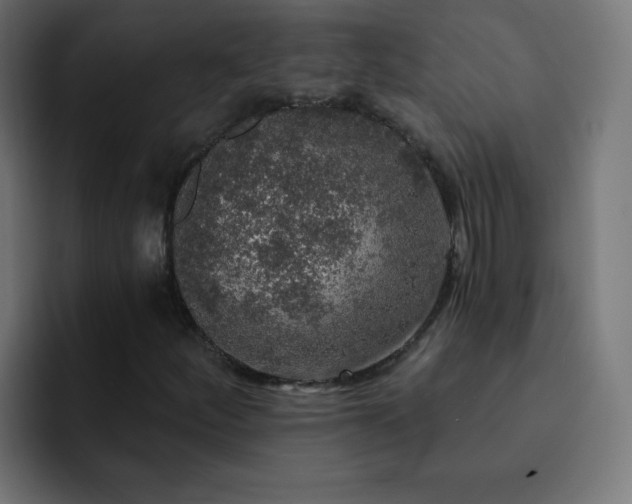 X0000093131252200710031345