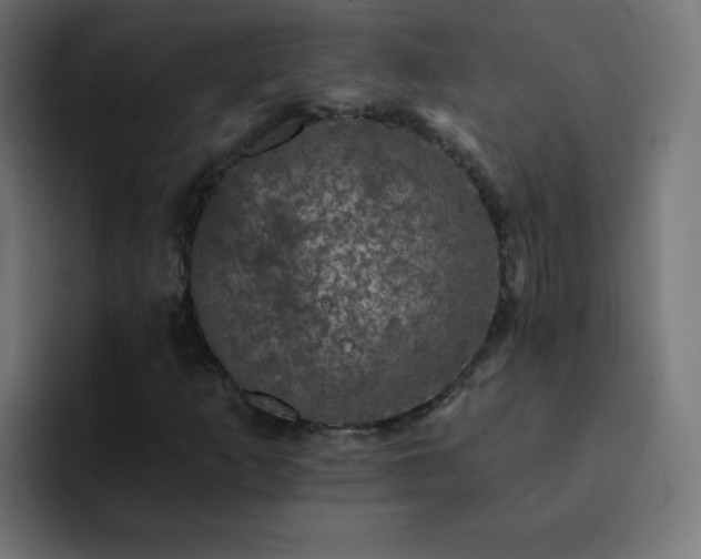X0000093131253200710031345