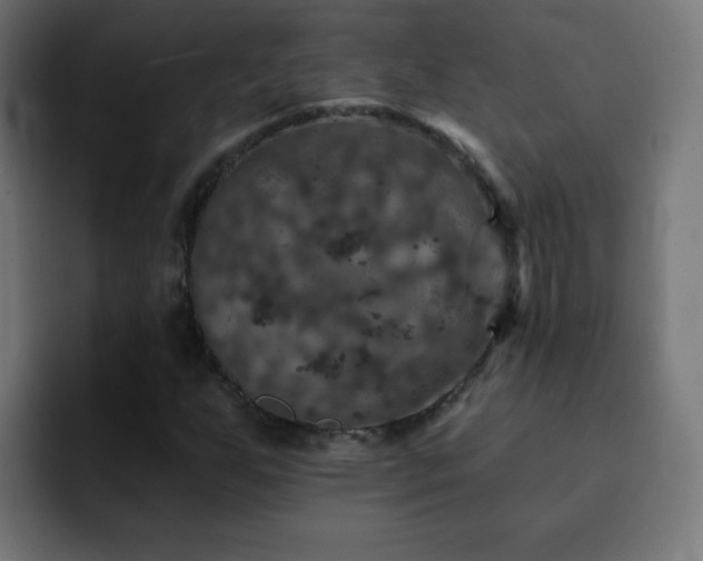 X0000093131255200710031345