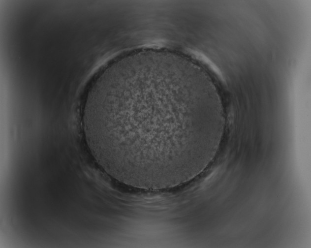 X0000093131256200710031345