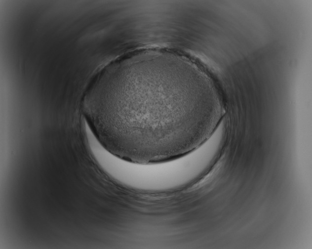X0000093131257200710031345