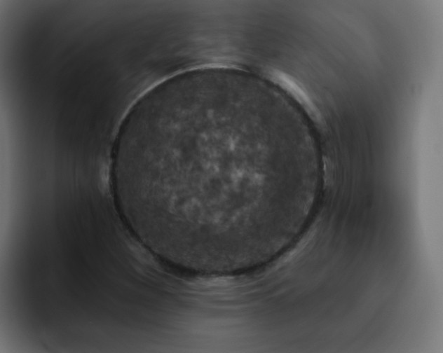 X0000093131260200710031345