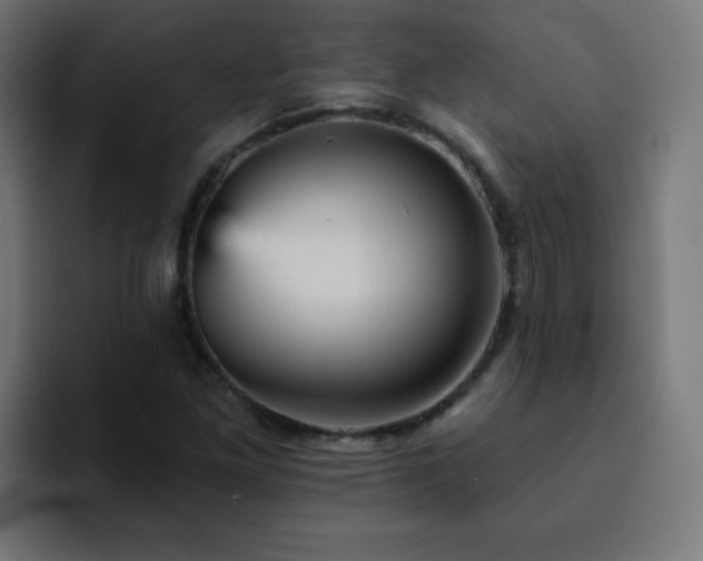 X0000093131261200710031345