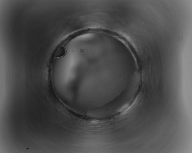 X0000093131263200710031345