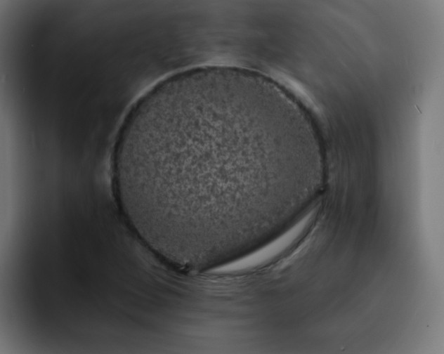 X0000093131264200710031345
