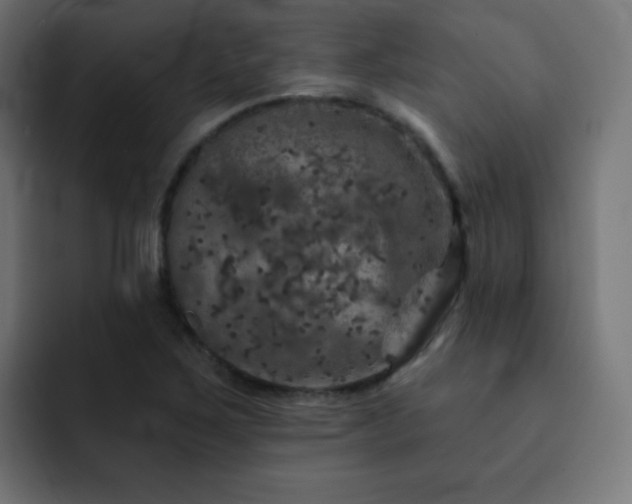 X0000093131267200710031345