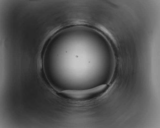 X0000093131269200710031345