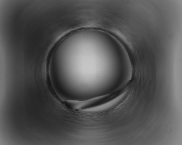 X0000093131270200710031345